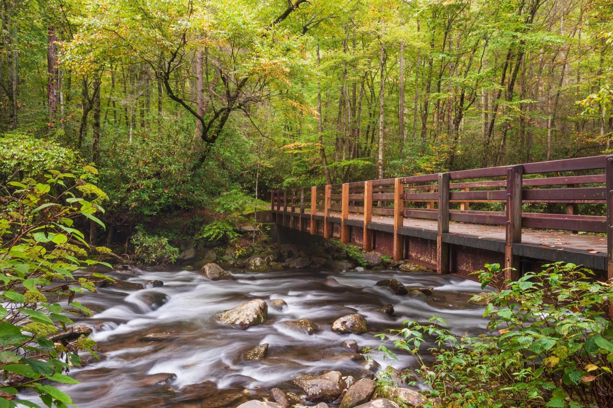 Lazy Bear Lodge, Hot Tub, Resort Pool, Wifi, 1089 Free Tickets Each Paid Day, Dollywood And More Gatlinburg Bagian luar foto